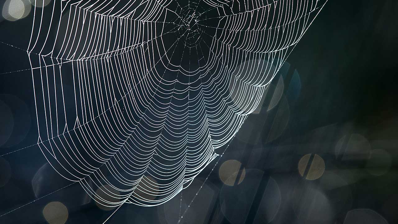 Synthetic spider silk is a promising building material