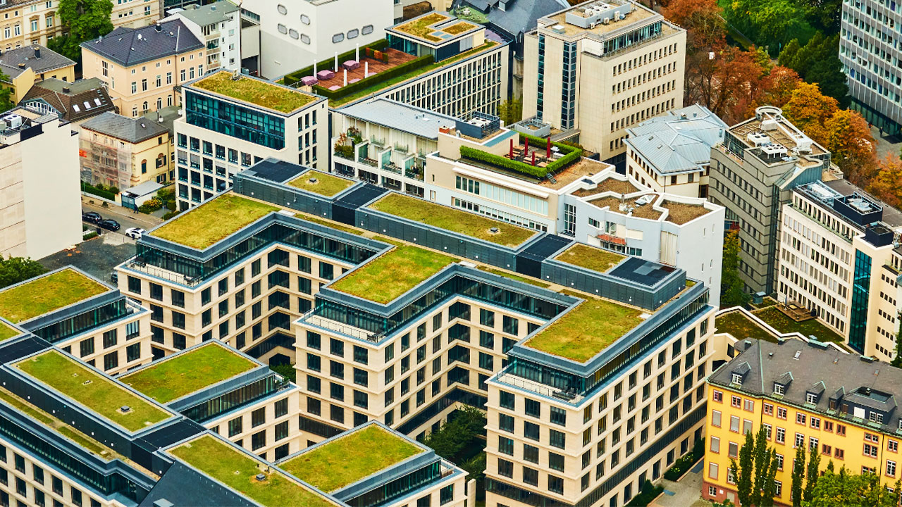 What Students in BIM Training Should Know About Green Roof Tech