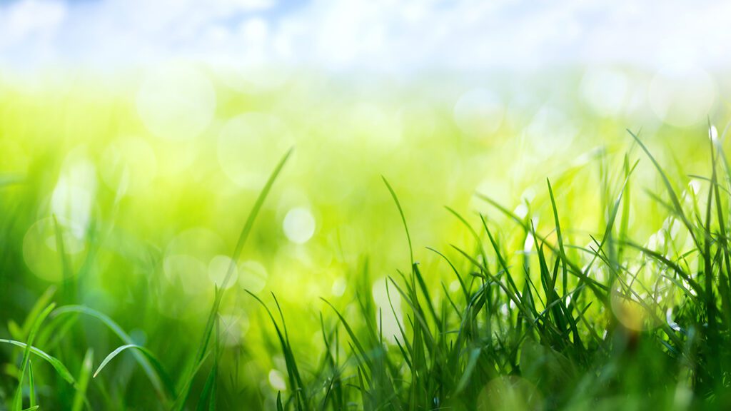 March 2023 Newsletter