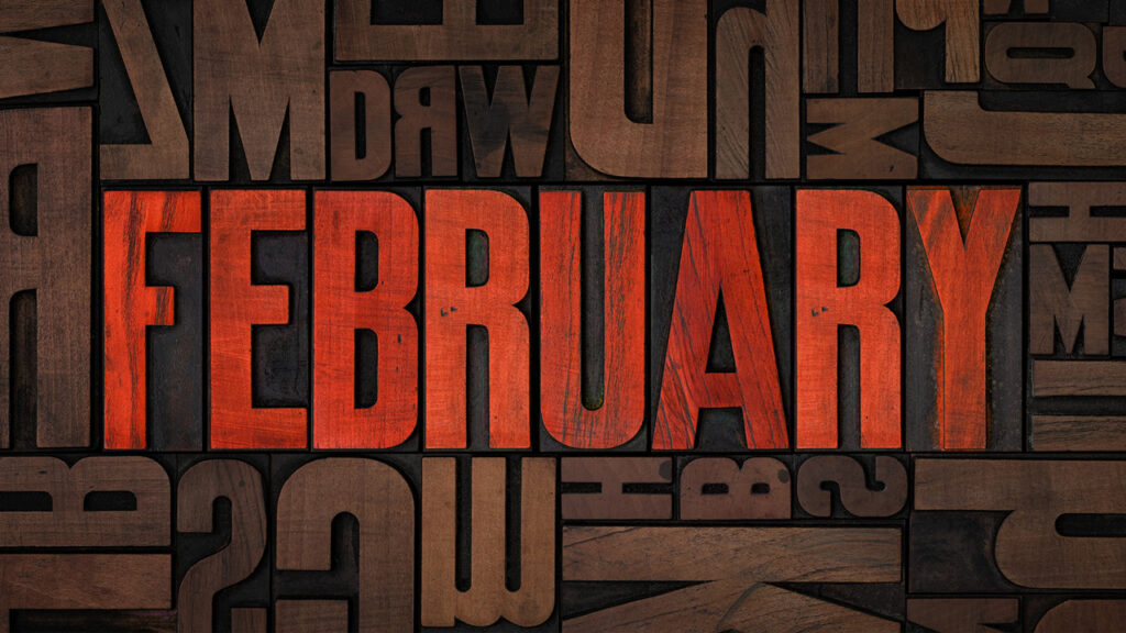 February Newsletter: What's New with Digital School?